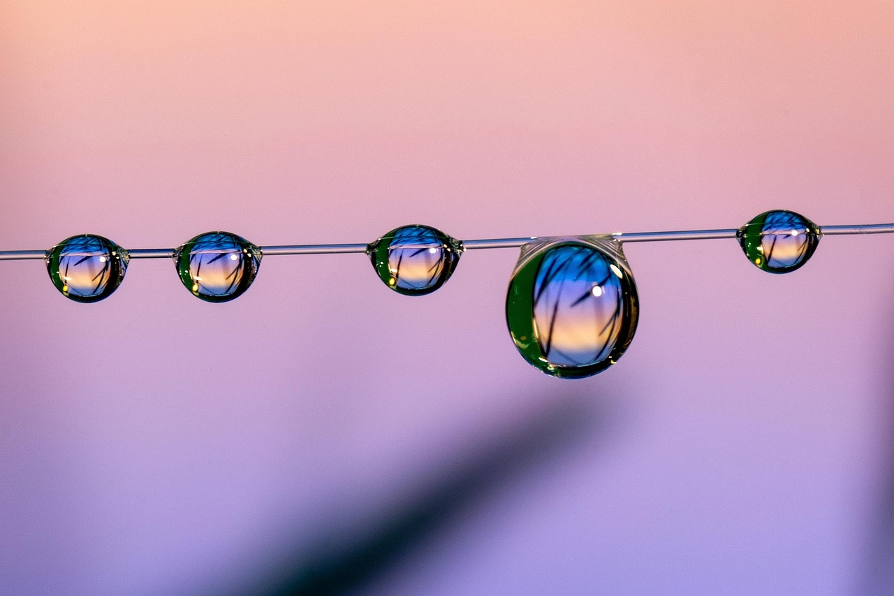 代理注册海外分公司程序