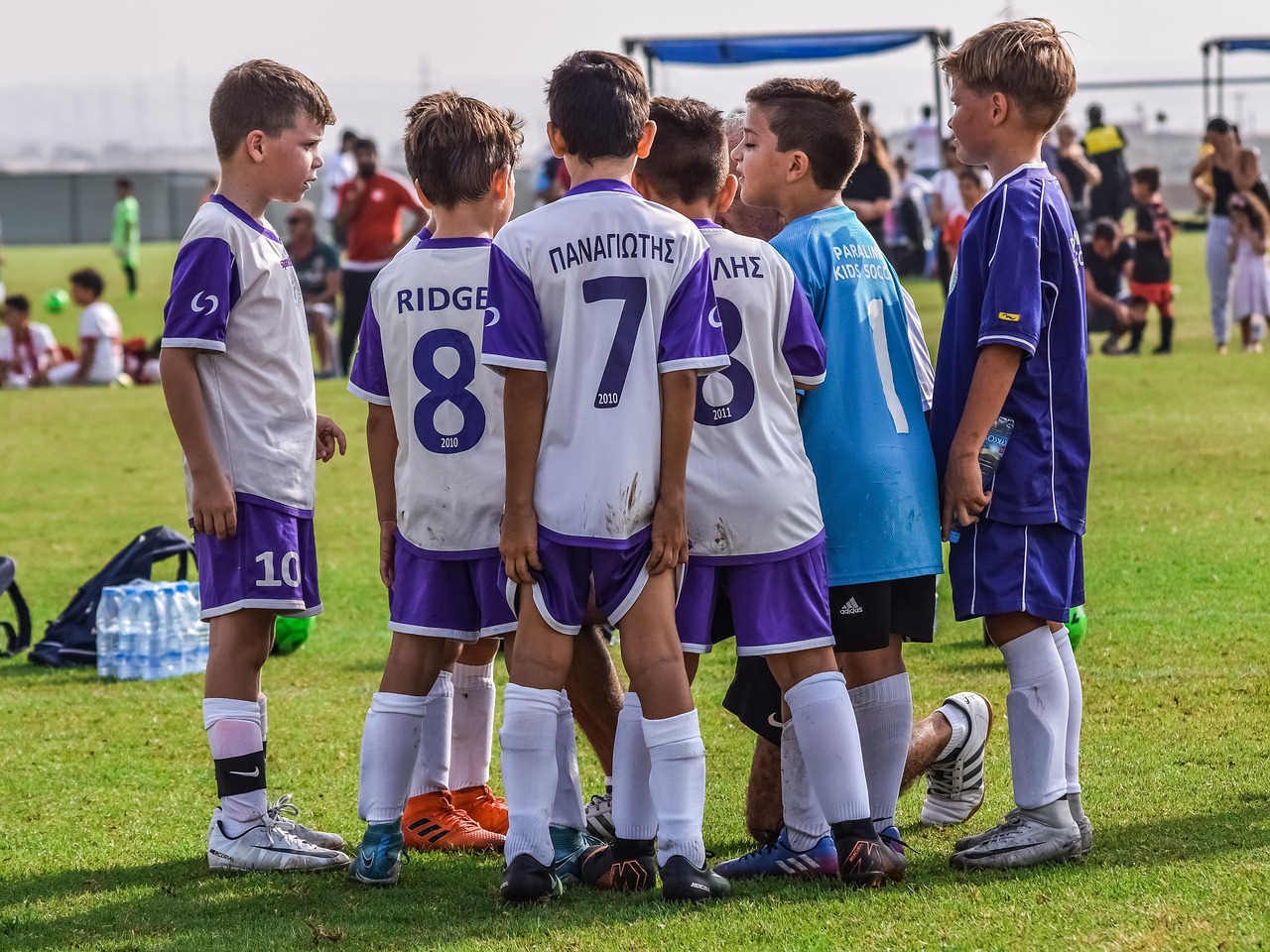 趣约会实名账号：详情下载教程app列表