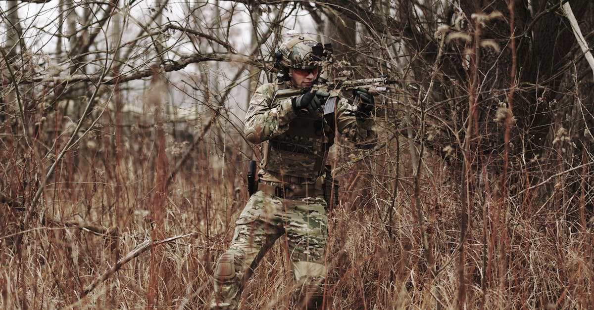 梦幻龙族2：大湾区物流注册公司代理费