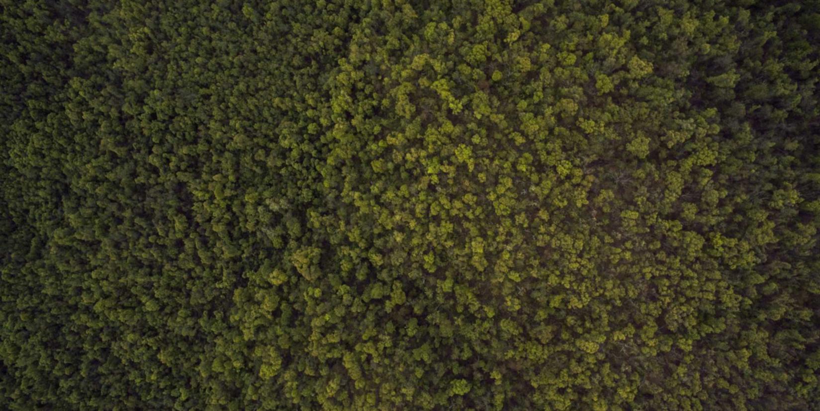 DDOS在线压力测试|公司开抖音小店注册账号