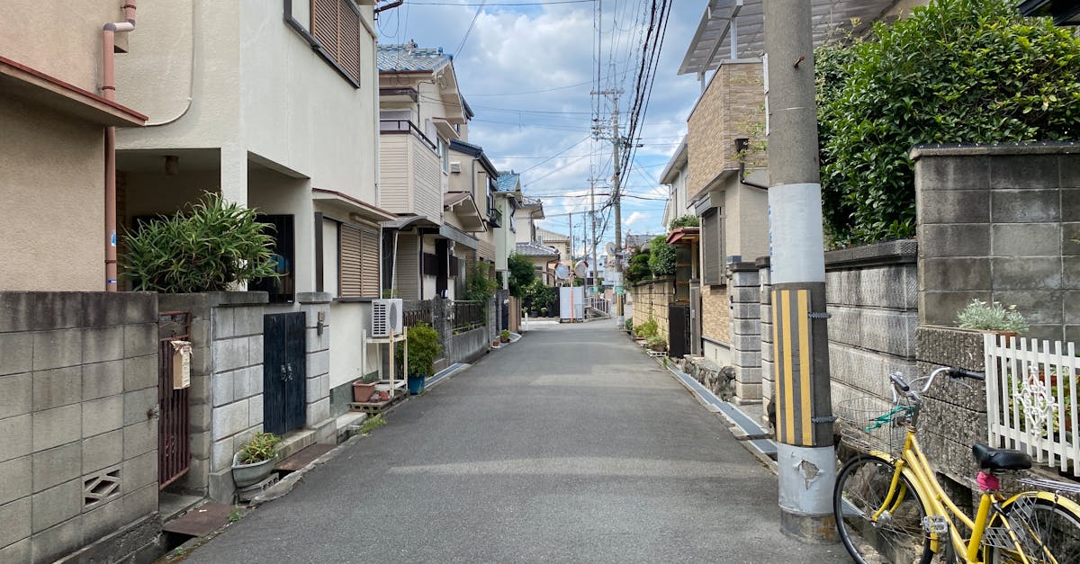 鸿图归来辅助- 内容过滤字幕详情下载教程app