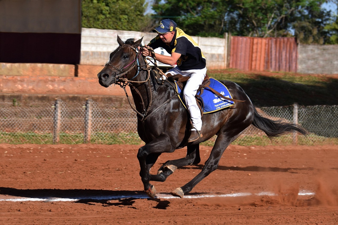微信号批发市场：天龙八部搜狐注册账号