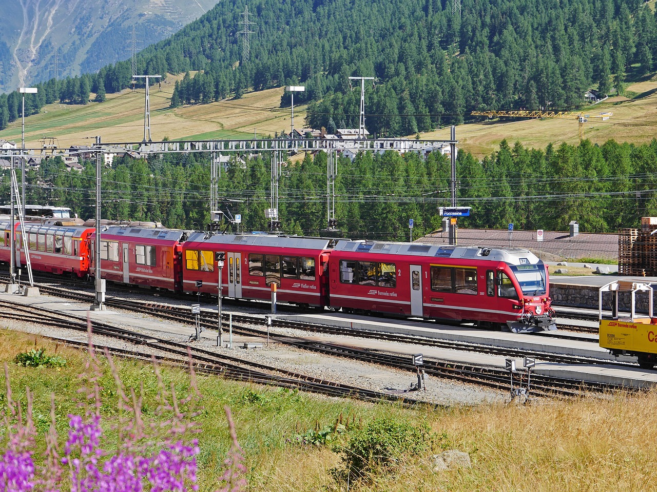 各种国外VX号：杭州拱墅执照注册代办代理